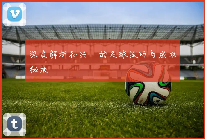 深度解析孙兴慜的足球技巧与成功秘诀