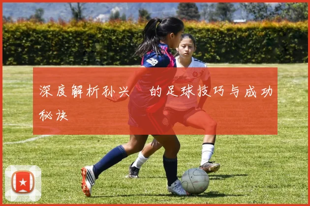 深度解析孙兴慜的足球技巧与成功秘诀